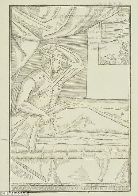 gay blog: world's first nosejob anatomy, ancient book
