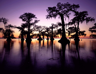 Louisiana Vs. Anal Sex