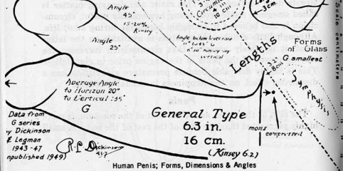 Old Timey Sex Education Penis Manual – Fun!