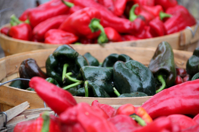 Chiles in the Farmers Market Gay Travel Tip: the Farmer's Market is the best place to get fresh food