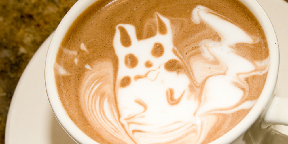 Pikachu Latte, I Choose You!