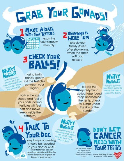 Grab Your Gonads! Know Your Testicles Infographic
