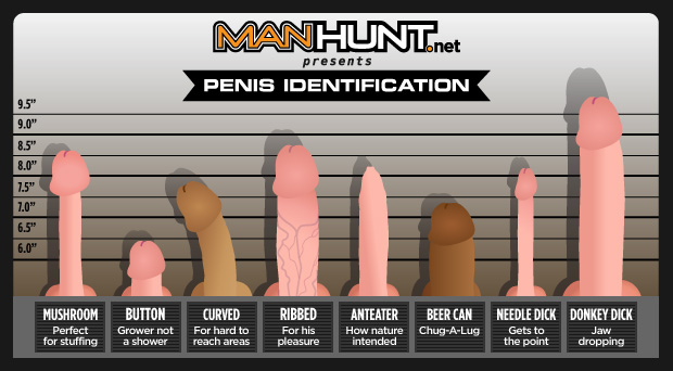 gay blog: Manhunt Penis Identification Guide manhunt penis identification, penis chart, types of penis, penises chart, types of penises