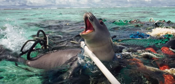 Young Genius Devises Master Plan For Cleaning World’s Oceans