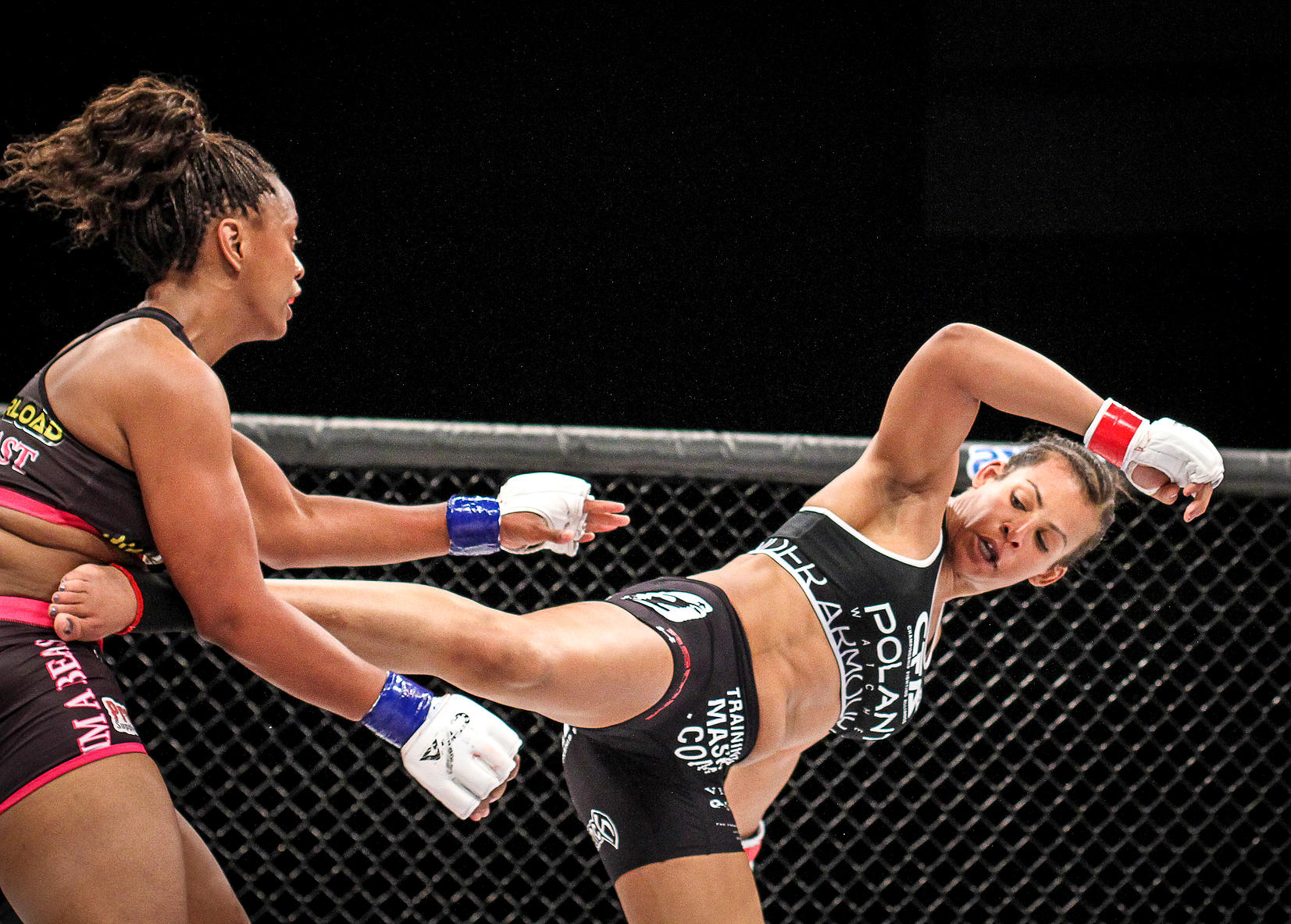 fallon fox, mma, fighting, trans