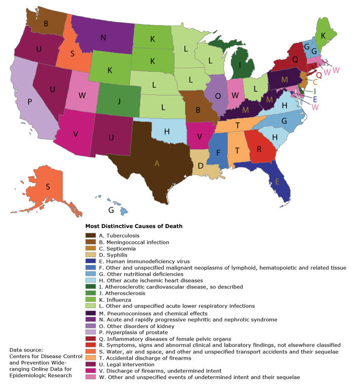 cause of death, us states, us map, america, color coded, infographic