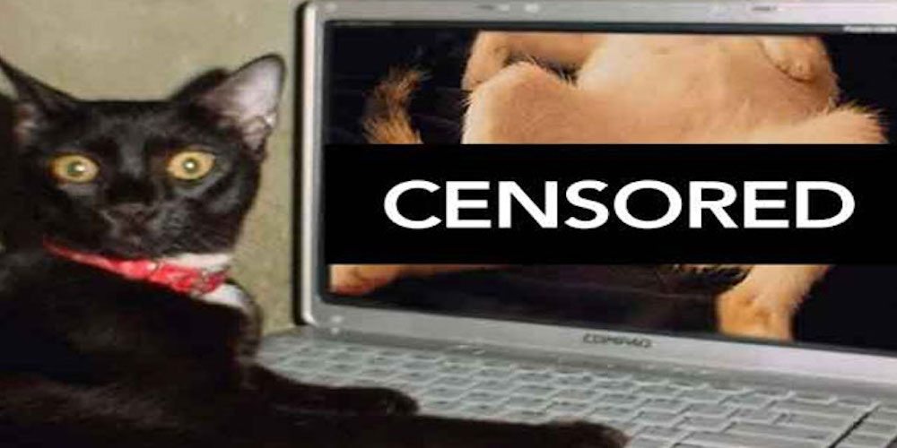 Revenge Porn Victim Fights Back With Even More Nudie Pix