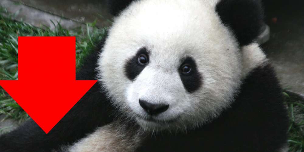 China’s Stock Market Plummet (Explained With Adorable Panda Videos!)