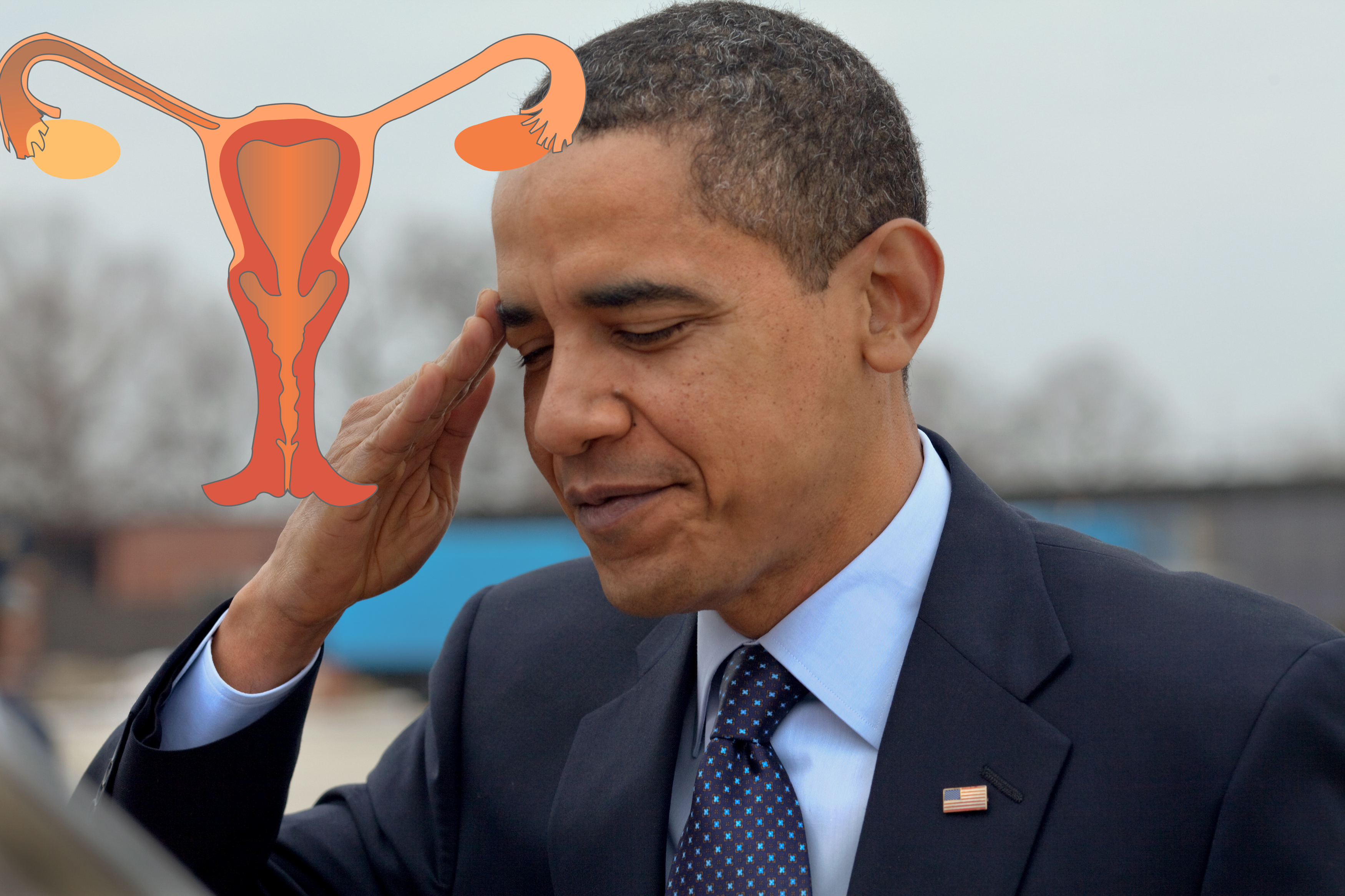 Thanks, Obama! Affordable Care Act to Guarantee Birth Control Coverage