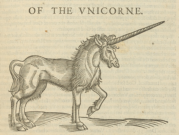 Providence, Rhode Island Is The Unicorn Capital of the World