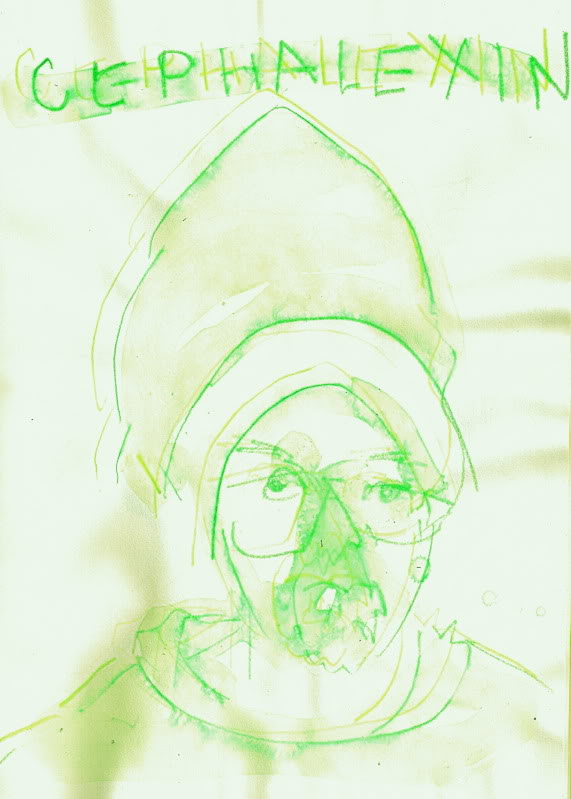 Bryan Lewis Saunders, Drugs, Self-Portraits, Art