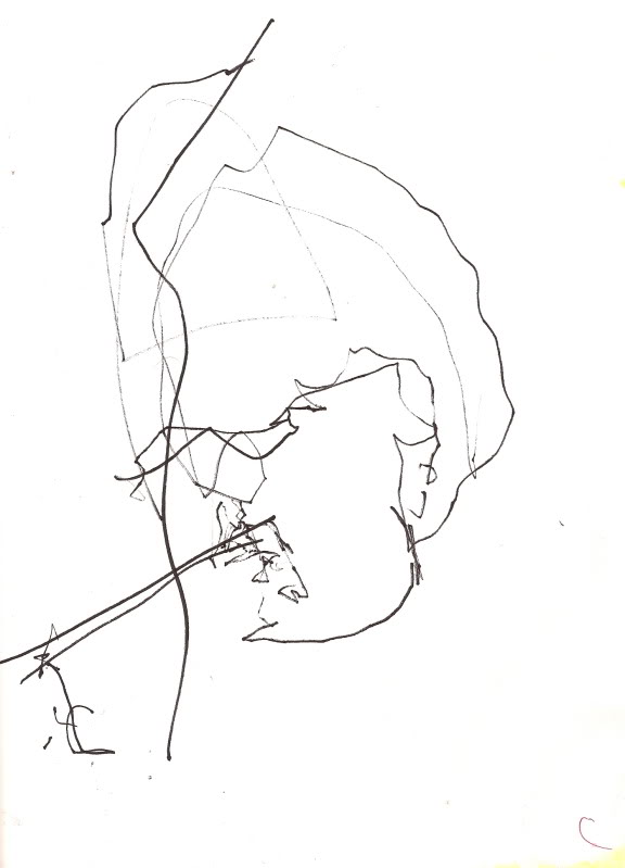 Bryan Lewis Saunders, Drugs, Self-Portraits, Art