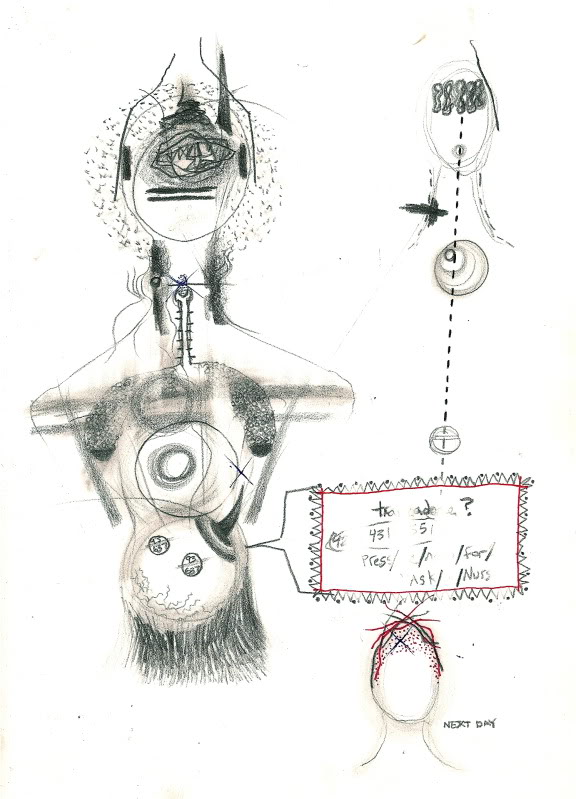 Bryan Lewis Saunders, Drugs, Self-Portraits, Art