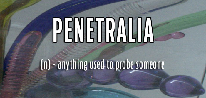 queer slang, term gay, penetralia