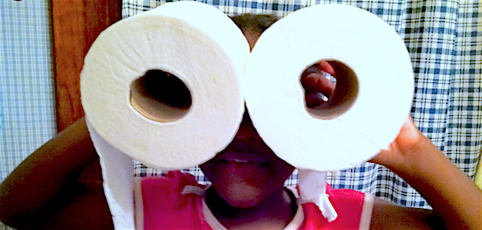 On Toilet Paper’s Birthday, Celebrate By Using It Right!