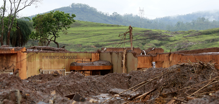 Polluted Rivers and Disease-Ridden Mosquitos: How Did Brazil Get So Bad?