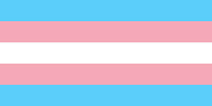 transgender flag, pink, blue, white, trans, flag, pride