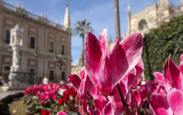 seville, spain, gay europe, madrid