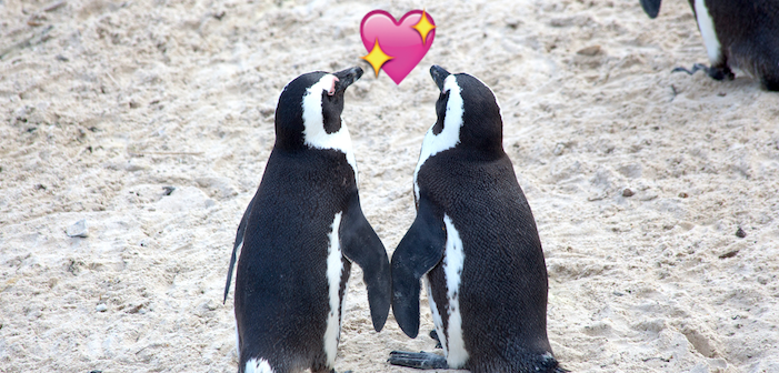 Marriage Equality Comes To Antarctica!