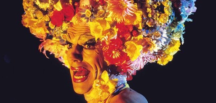 6 Things I Love & Hate About ‘Priscilla, Queen of the Desert’