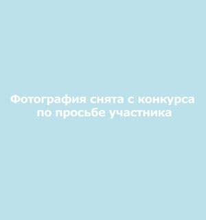 Russia, IKEA, censorship, gay couple