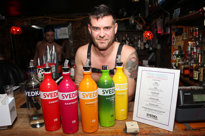 King Cobra, IFC Films, gay porn, Harlow Cuadra, Brent Corrigan, Joseph Manuel Kerekes, Bryan Kocis, James Franco, Svedka vodka, Hornet,