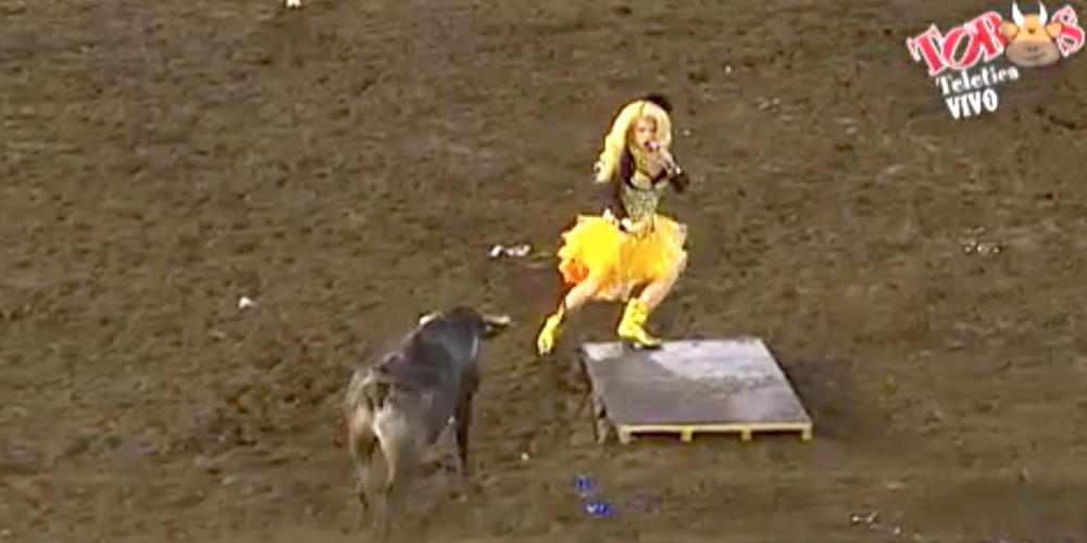 Drag Queens and Bulls Don’t Mix, and This Video Proves It