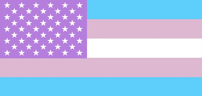 5 Conclusões da Maior Pesquisa Já Realizada com Americanos Trans Que Você Precisa Saber