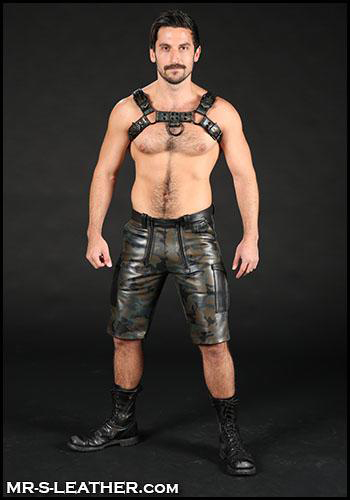 Mr. S, bulldog, leather, harness, man, shirtless, hairy, sexy, beaded