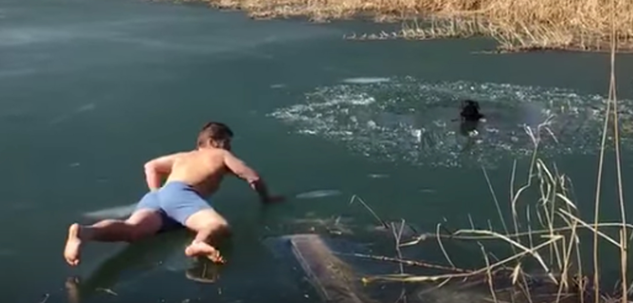 Man with Nice Butt Rescues a Dog Stuck in a Frozen Pond (Video)