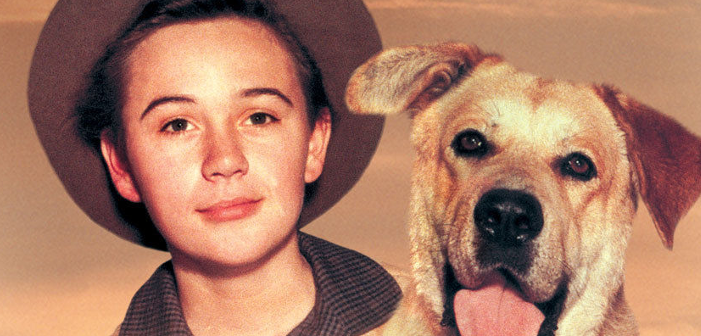 This Disney Child Star’s Career Was Put Down Like Old Yeller — All Because He Was Gay