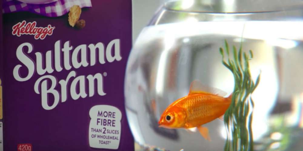 Why Is This Kellogg’s Cereal Ad with a ‘Gay’ Goldfish Offending People? (Video)