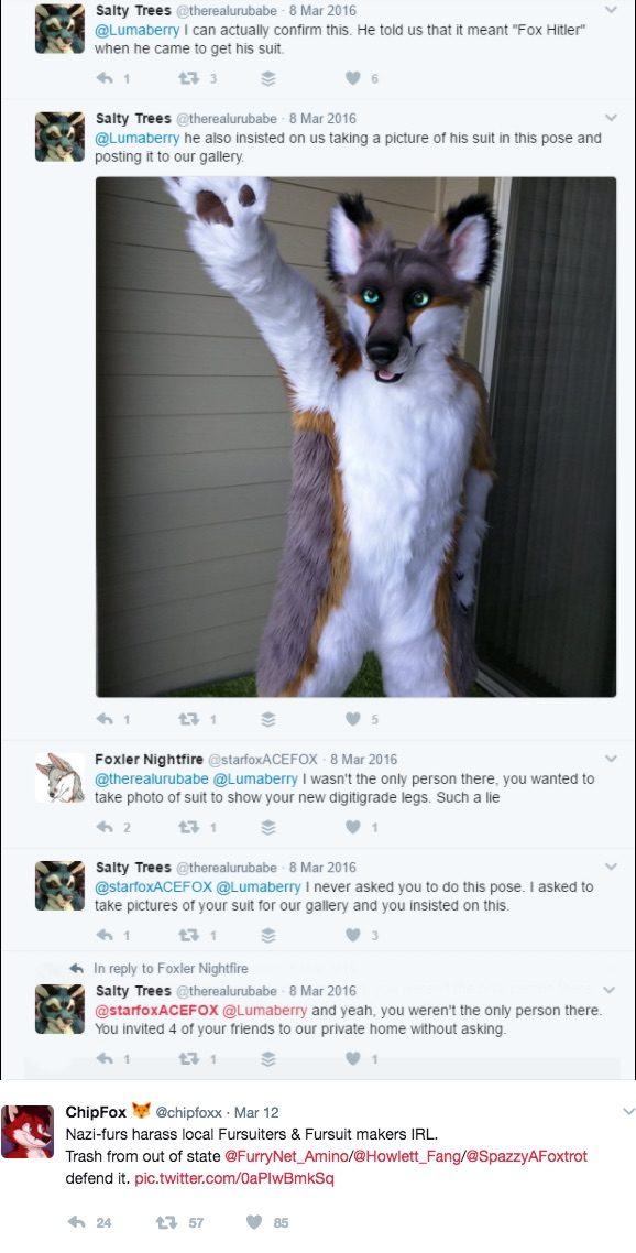 rocky mountain fur con cancelled, foxler nightfire