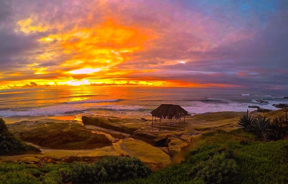 la jolla beaches hornet guide gay san diego bar club