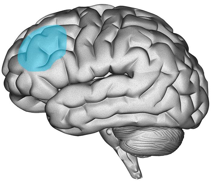 study religious fundamentalism brain damage