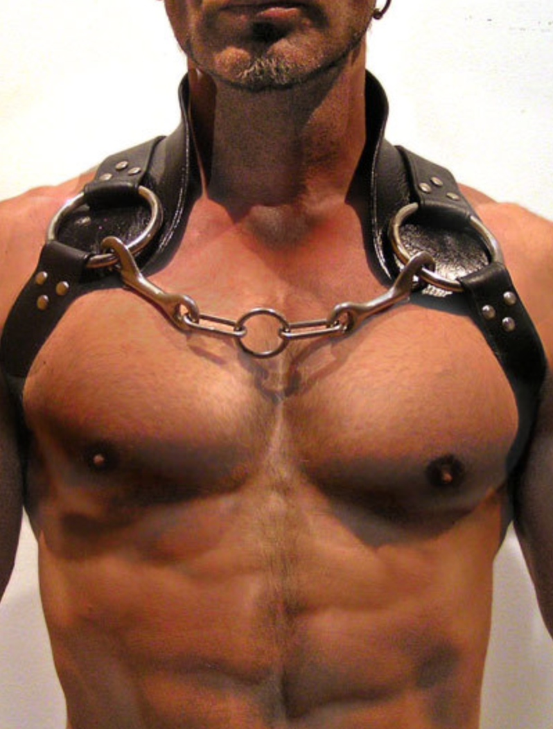 leather harness