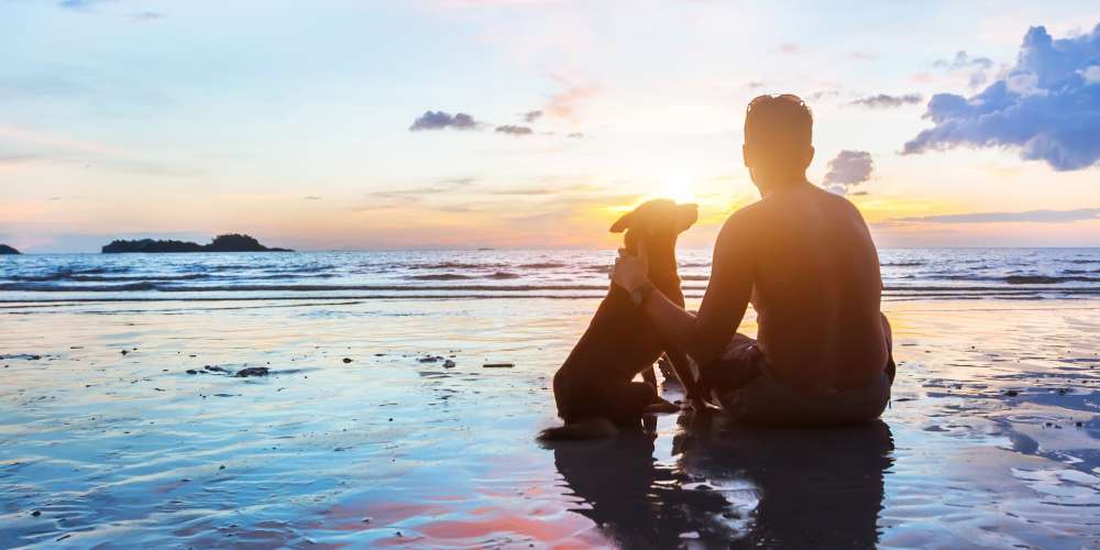 Man’s Best Friend: 7 Reasons Why Dogs Are Better Than Boyfriends