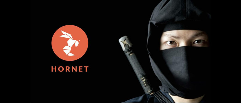 The ‘Hornet Ninjas’ Project Is Changing the Way Gay Men Navigate Taiwan