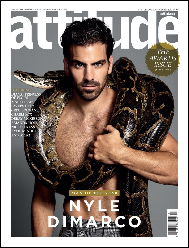 model nyle dimarco 2