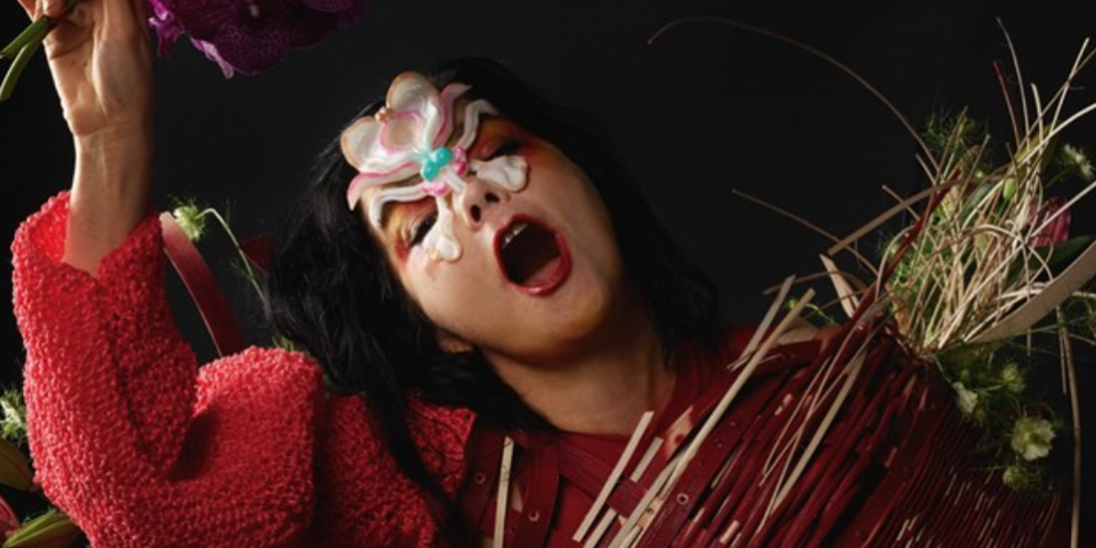 Björk arbore un gode-ceinture sur un visuel de son dernier album