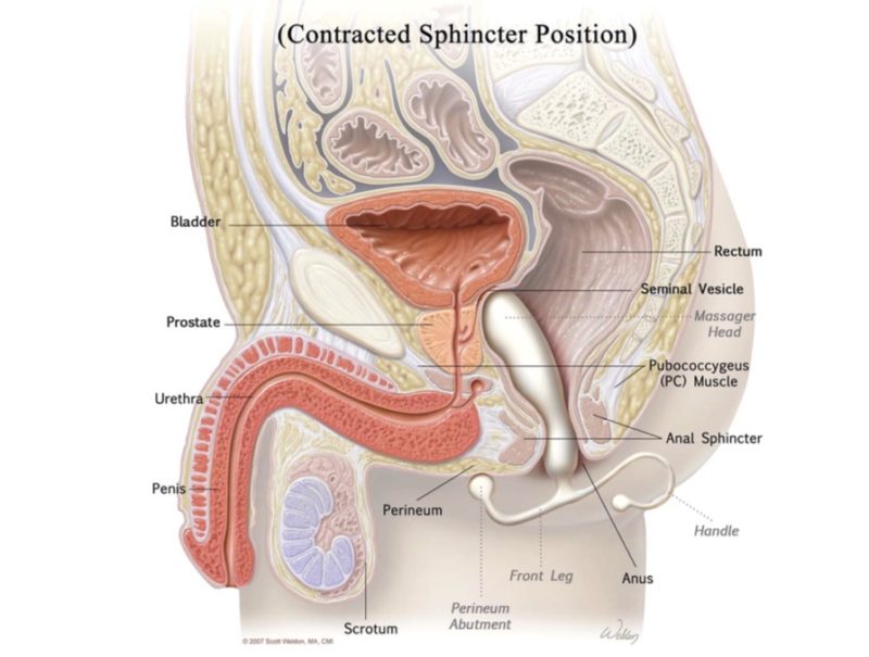 prostate massage 01