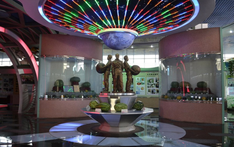 watermelon museum beijing