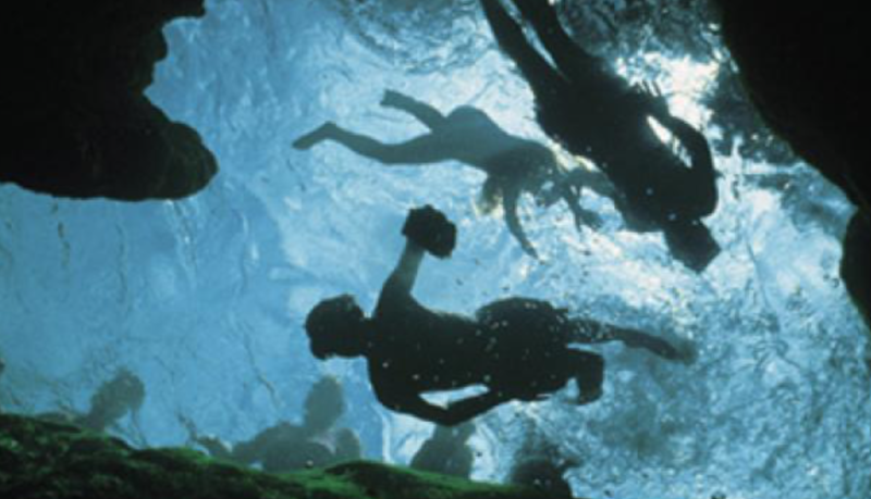 wekiwa springs orlando
