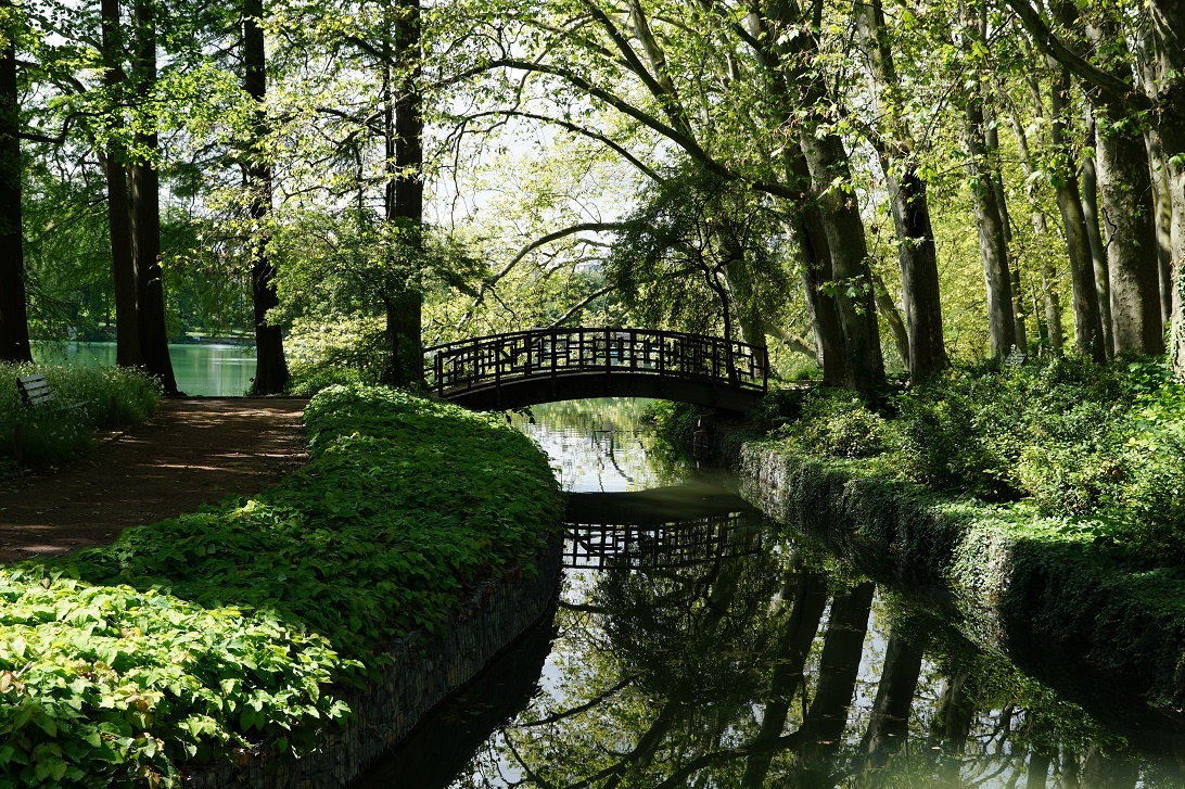 gay lyon park
