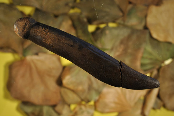 stone age penis sculpture, penis sculpture 12 เครื่องปั้น จู๋