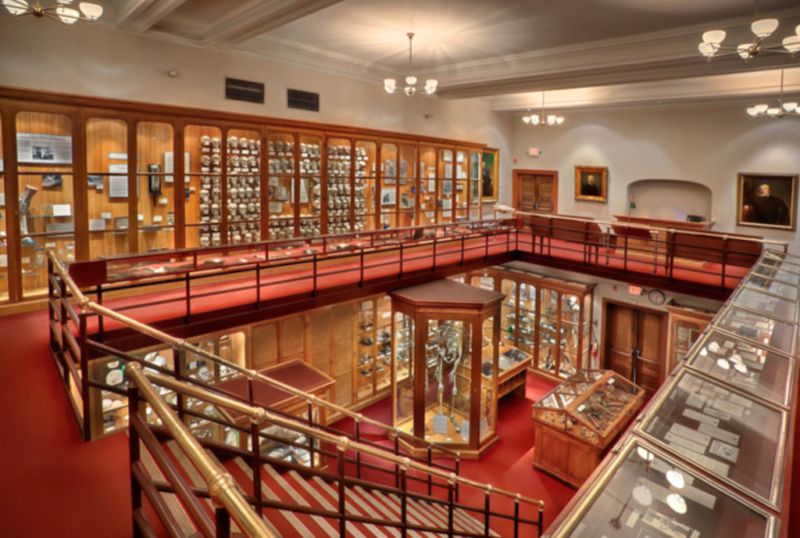 philadelphia guide mutter museum