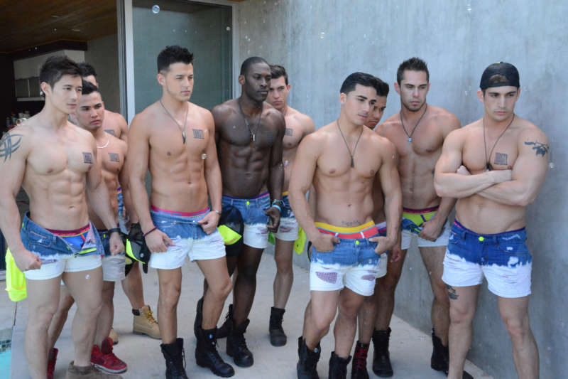 porn star topher dimaggio