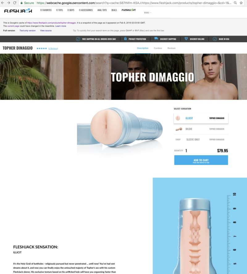 Topher DiMaggio FleshJack cache