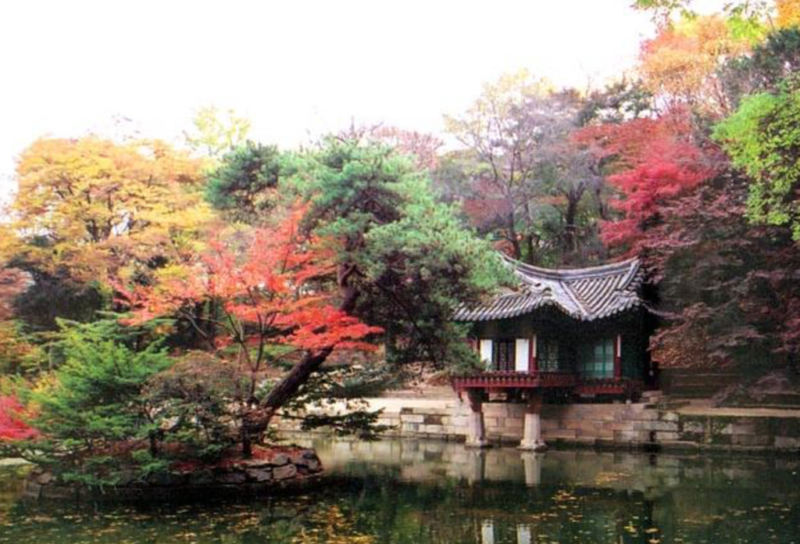 Hornet首爾同志