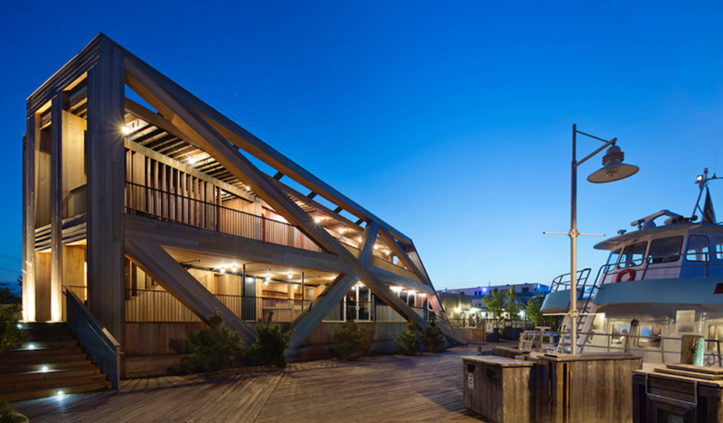 gay fire island hornet guide pavilion